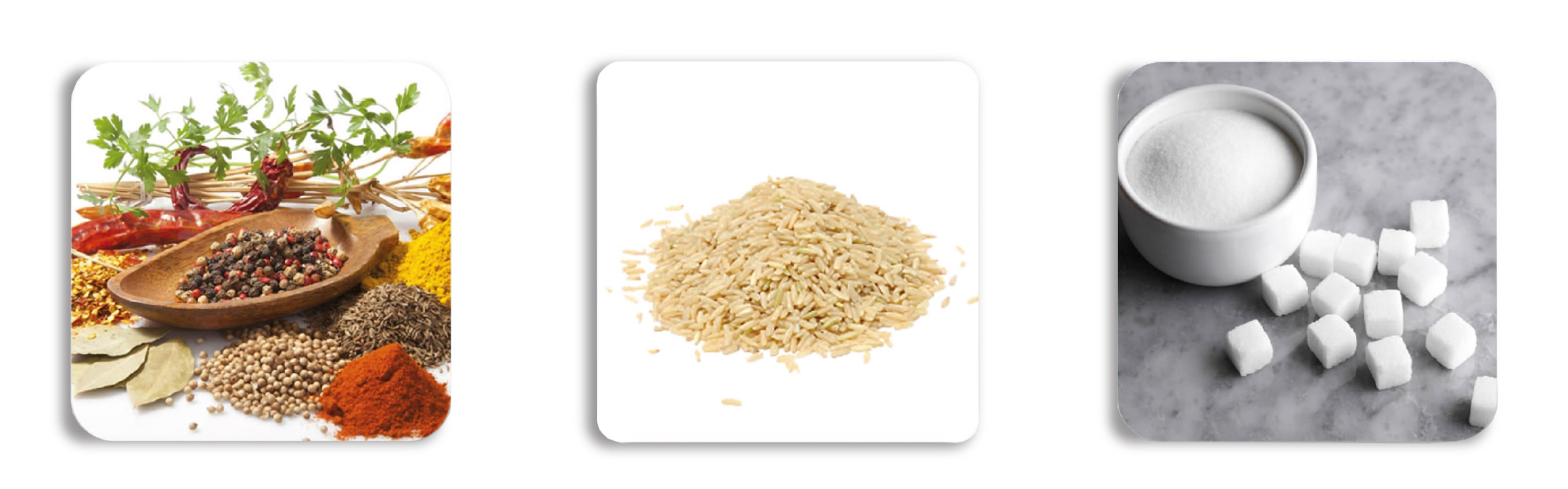 ست ادویه ناسا الکتریک NS-4040