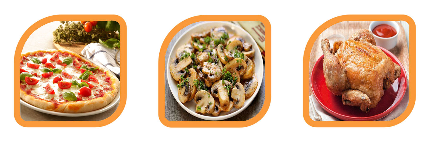 آون توستر ناسا الکتریک NS-2046