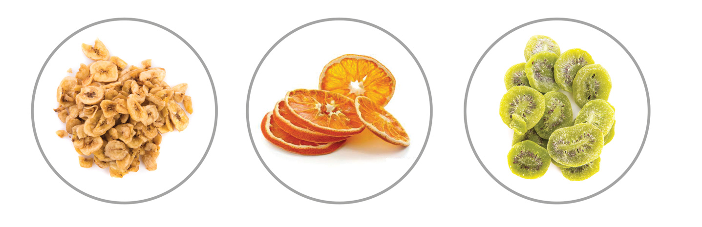 میوه خشک کن ناسا الکتریک NS-1160