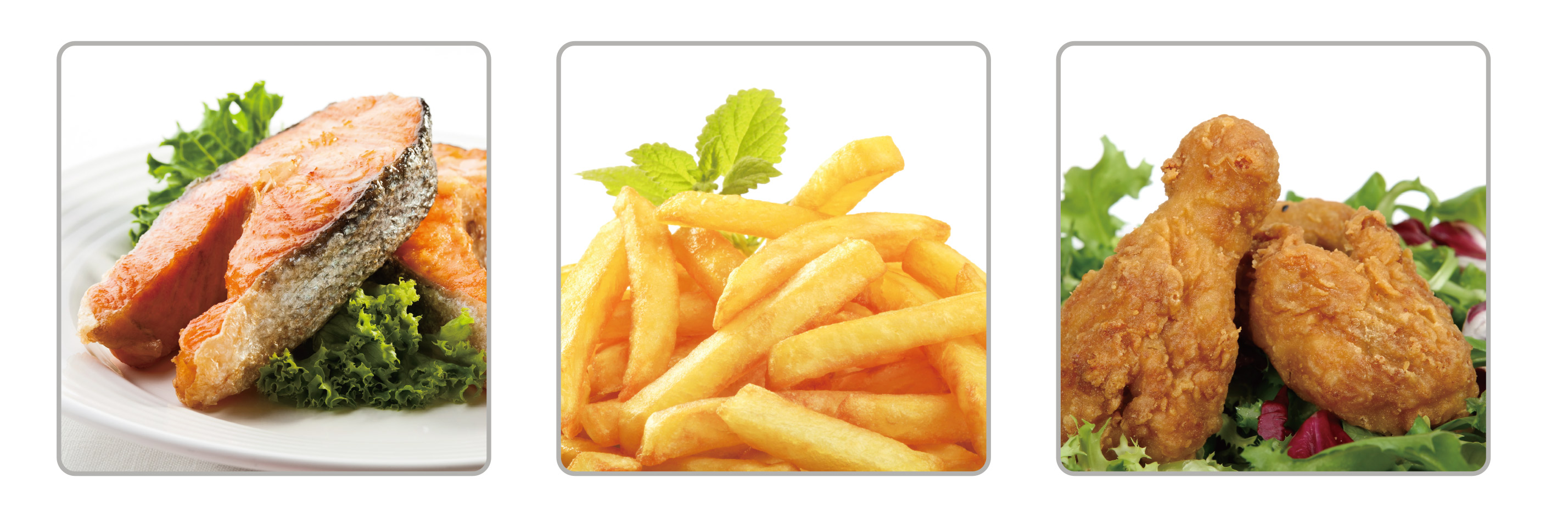 سرخ کن رژیمی ناسا الکتریک NS-807