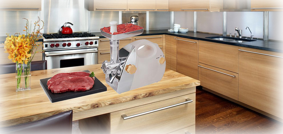 چرخ گوشت ناسا الکتریک NS-308